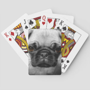 Jeu De Cartes Chiot de carlin