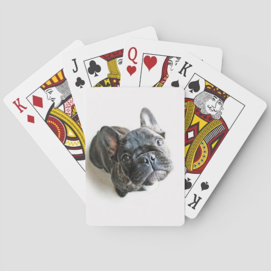 Jeu De Cartes Chiot de France (dos)