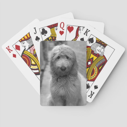 Jeu De Cartes Chiot De Goldendoodle En Jardin (dos)