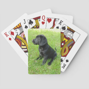 Jeu De Cartes chiot de laboratoire noir.png