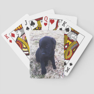 Jeu De Cartes Chiot de récupération Black Labrador