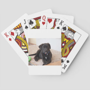 Jeu De Cartes Chiot de récupération Black Labrador