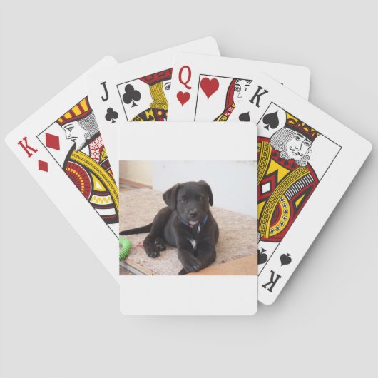 Jeu De Cartes Chiot de récupération Black Labrador (dos)
