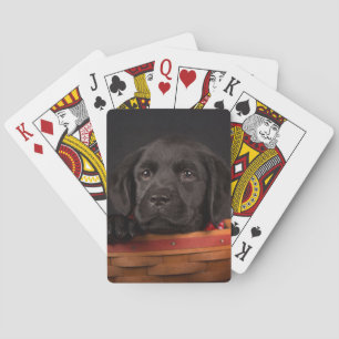 Jeu De Cartes Chiot de récupération du labrador noir dans un pan