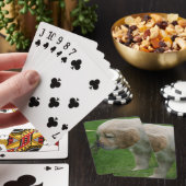Jeu De Cartes Chiot Golden Retriever (In Situ)