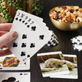 Jeu De Cartes chiot jaune 2 labo (In Situ)