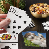 Jeu De Cartes Chiot mignon (Shitzu) (In Situ)