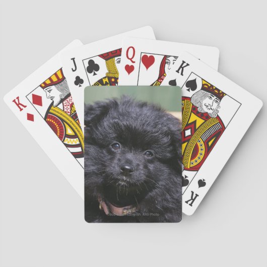 Jeu De Cartes Chiot noir de Pomeranian (dos)