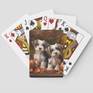 Jeu De Cartes Chiots Biewer Terrier Délice d'Automne Citrouille