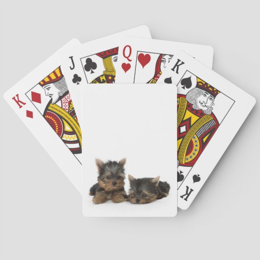 Jeu De Cartes Chiots du Yorkshire Terrier (dos)