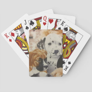 Jeu De Cartes Chipies dalmatiennes et de boîtes