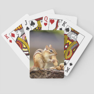 Jeu De Cartes Chipmunk mange une cacahuète