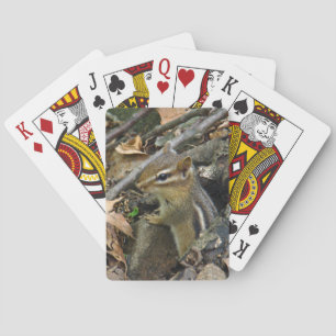 Jeu De Cartes Chipmunk oriental - Tamias striatus
