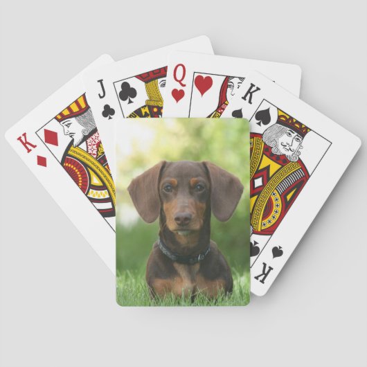 Jeu De Cartes Chocolat et Tan Dachshund - Doxie Chien (dos)