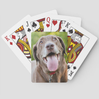 Jeu De Cartes Chocolat Labrador Chien