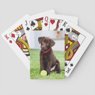 Jeu De Cartes Chocolat Labrador Puppy Avec Tennis Ball
