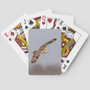 Jeu De Cartes Chouette à oreilles courtes dans les Prairies de S