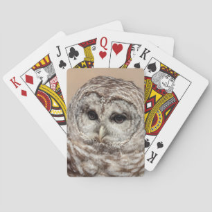 Jeu De Cartes Chouette barrée