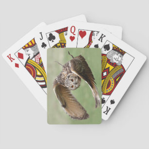 Jeu De Cartes Chouette d'aigle en vol