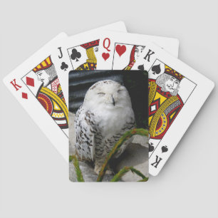 Jeu De Cartes Chouette moelleuse