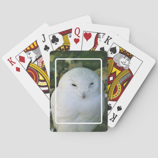 Jeu De Cartes Chouette neigeuse Jouer aux cartes (dos)