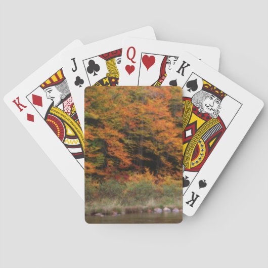 Jeu De Cartes Chute Foliage Bordage Rivière Nature Orton (dos)