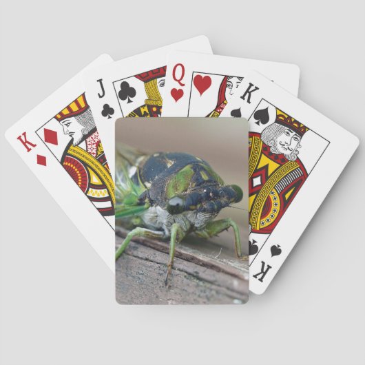 Jeu De Cartes Cicada (dos)