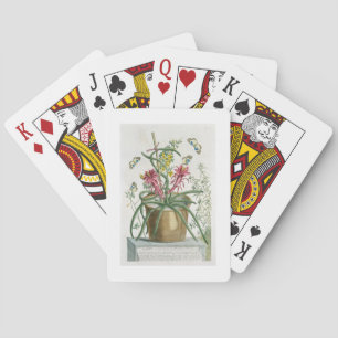 Jeu De Cartes Cierge Minimus, c.1745 (litho coloré)