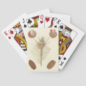 Jeu De Cartes Cinq d'un coquillage (dos)