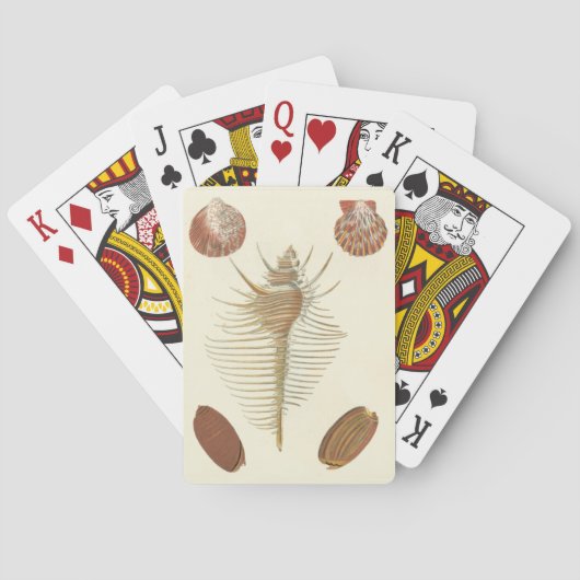 Jeu De Cartes Cinq d'un coquillage (dos)