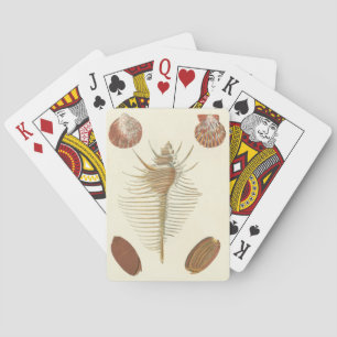 Jeu De Cartes Cinq d'un coquillage