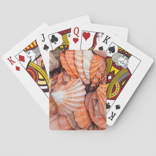 Jeu De Cartes Clés de Floride, Key West, coquillages (dos)