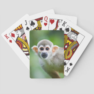 Jeu De Cartes Close-up