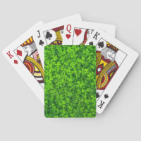 Clovers vert luxuriant avec gouttes d'eau