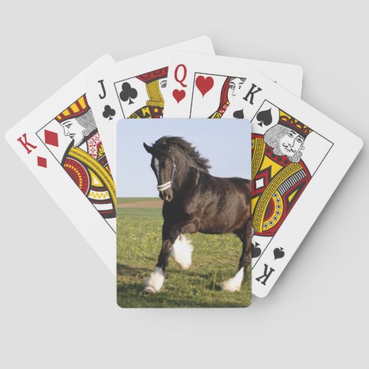 Jeu De Cartes Clydesdale Horse (dos)