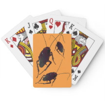 Cockroach croquant