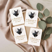 Jeu De Cartes Coeur Photo Chien Mariage Favoriser Jouer Des Cart