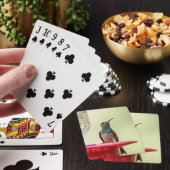 Jeu De Cartes Colibri à ventre cassé au Texas (In Situ)