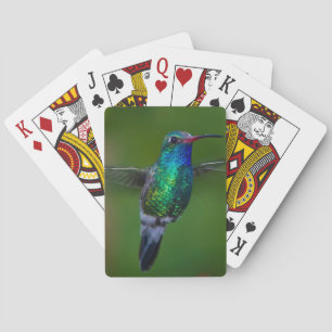 Jeu De Cartes Colibri de flottement