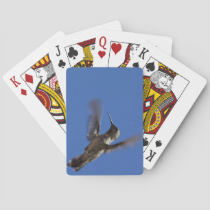 Jeu De Cartes Colibri en vol