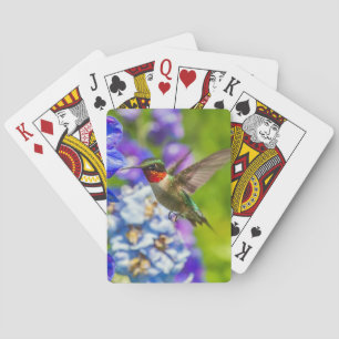 Jeu De Cartes Colibri Et Delphinium