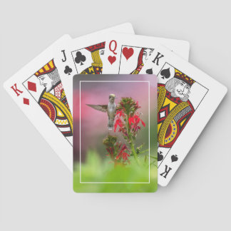 Jeu De Cartes Colibri Et Fleur Cardinale