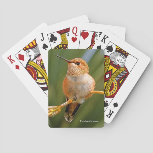 Jeu De Cartes Colibri roux mignon perché sur une fleur (dos)