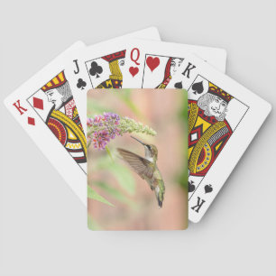 Jeu De Cartes Colibri sur un plante à fleurs