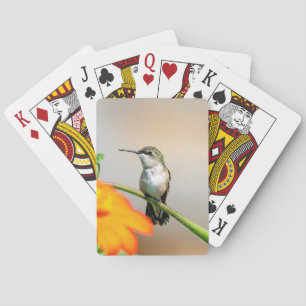 Jeu De Cartes Colibri sur un plante à fleurs