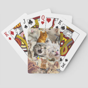Jeu De Cartes Collage de chats et de jouets