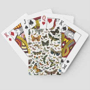 Jeu De Cartes Collage des papillons de nuit et des papillons de