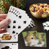 Jeu De Cartes Colley Rough, chien (In Situ)