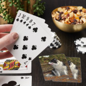 Jeu De Cartes Collie dans les bois (In Situ)