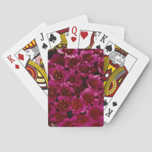 Jeu De Cartes Coloré Arctique violet Saxifrage Fleur sauvage Des
